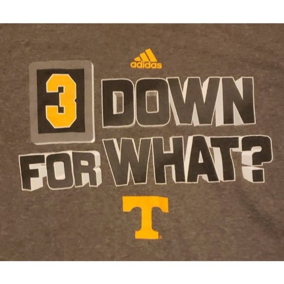 UT University of Tennessee Vols 3 Down for What Football Shirt Men's Small - Picture 2 of 3